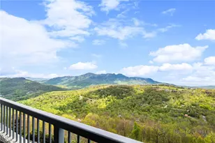 303 Sugar Top Dr, Sugar Mountain, NC 28604 - Photo 2