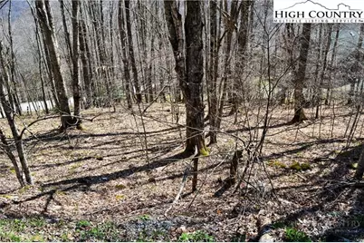 130 E Blueberry Lane, Beech Mountain, NC 28604 - Photo 2
