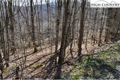 130 E Blueberry Lane, Beech Mountain, NC 28604 - Photo 4