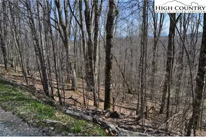130 E Blueberry Lane, Beech Mountain, NC 28604 - Photo 6