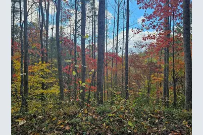 Lot 62 Bent Bow Drive, Collettsville, NC 28645 - Photo 2