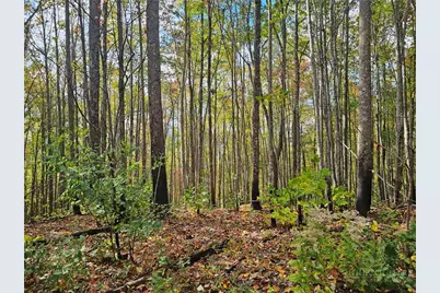 Lot 62 Bent Bow Drive, Collettsville, NC 28645 - Photo 20