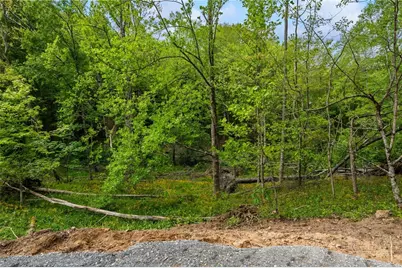 Lot 44 W Silver Springs Drive, Banner Elk, NC 28604 - Photo 4