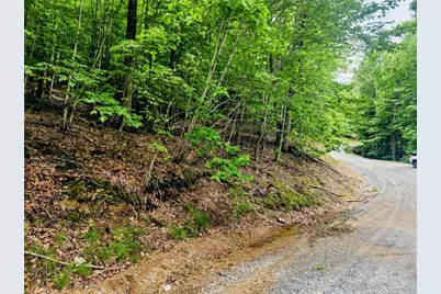 136 Locust Ridge Road, Beech Mountain, NC 28604 - Photo 2