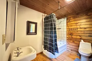 194 Shulls Hollar Rd, Sugar Grove, NC 28679 - Photo 50