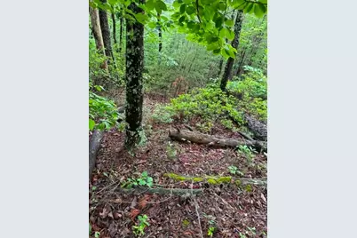 35, 36, 37 Big Sky Road, Ferguson, NC 28624 - Photo 4