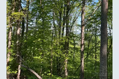 926 Pine Ridge Road, Beech Mountain, NC 28604 - Photo 4