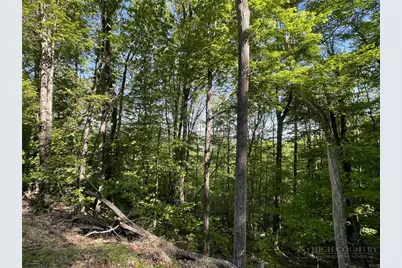 926 Pine Ridge Road, Beech Mountain, NC 28604 - Photo 6