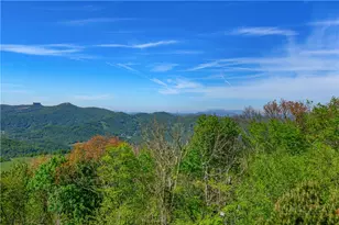 510 Elderberry Ridge Rd, Beech Mountain, NC 28604 - Photo 4