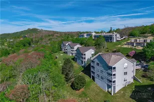510 Elderberry Ridge Rd, Beech Mountain, NC 28604 - Photo 24