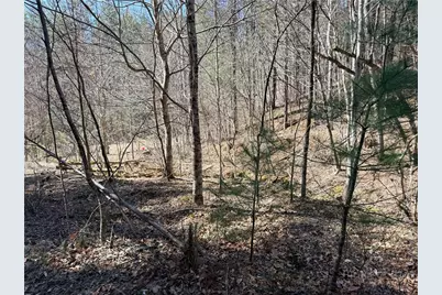 Tbd Lot 19 Lost Trail, West Jefferson, NC 28694 - Photo 10