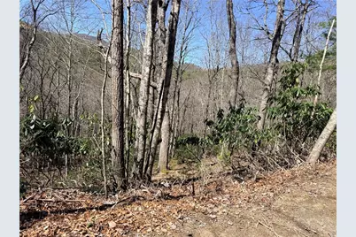 Tbd Lot 19 Lost Trail, West Jefferson, NC 28694 - Photo 1