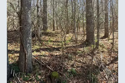 Tbd Lot 19 Lost Trail, West Jefferson, NC 28694 - Photo 6