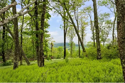 Lot 60 Monteagle Subdivision, Banner Elk, NC 28604 - Photo 18