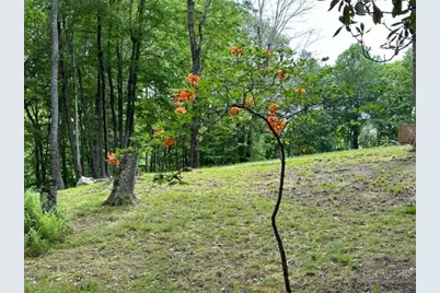 470 Rocky Top Ln., Independence, VA 24348 - Photo 4
