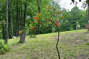 470 Rocky Top Ln, Independence, VA 24348 - Photo 4