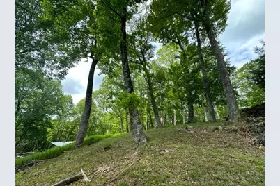 470 Rocky Top Ln., Independence, VA 24348 - Photo 12