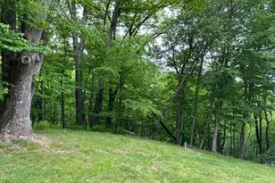 470 Rocky Top Ln, Independence, VA 24348 - Photo 10