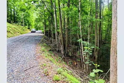 139 Raccoon Road, Beech Mountain, NC 28604 - Photo 2