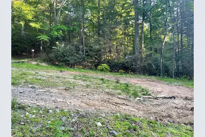 156 Dragonfly Lane, Boone, NC 28607 - Photo 4