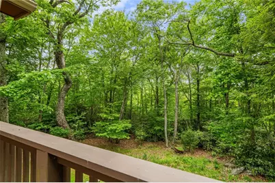 405 Snow Ridge Road, Banner Elk, NC 28604 - Photo 30