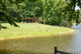 84 Pine Ridge Loop, Newland, NC 28657 - Photo 28