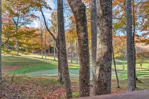 101 Golfview Dr, Beech Mountain, NC 28604 - Photo 40