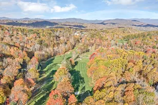 101 Golfview Dr, Beech Mountain, NC 28604 - Photo 44