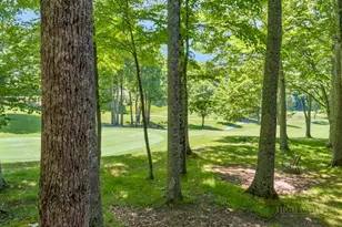 101 Golfview Dr, Beech Mountain, NC 28604 - Photo 6