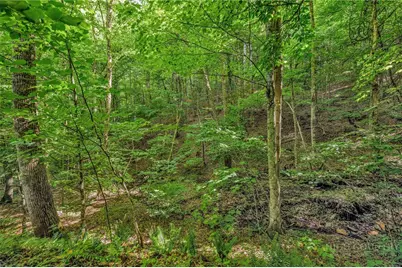 Lot 12 Lauren Glen Trail, West Jefferson, NC 28694 - Photo 14