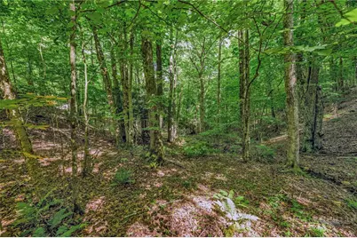 Lot 12 Lauren Glen Trail, West Jefferson, NC 28694 - Photo 22
