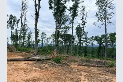 Tbd N Marley Ford Road, Ferguson, NC 28624 - Photo 8