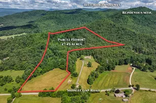 Tbd Shingle Gap Rd, Purlear, NC 28665 - Photo 1