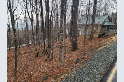 153 Pond Creek Road, Beech Mountain, NC 28604 - Photo 2