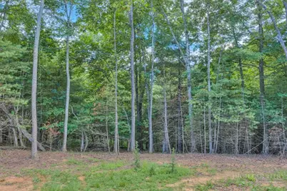 439 Howell Road, Lansing, NC 28643 - Photo 40