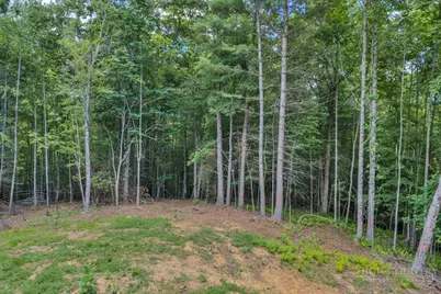 439 Howell Road, Lansing, NC 28643 - Photo 42