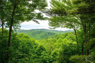173 Rhododendron Dr, Beech Mountain, NC 28604 - Photo 42