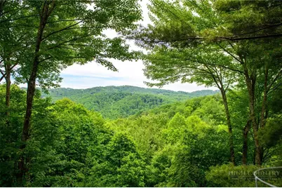 173 Rhododendron Drive, Beech Mountain, NC 28604 - Photo 42