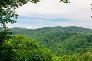 173 Rhododendron Dr, Beech Mountain, NC 28604 - Photo 4