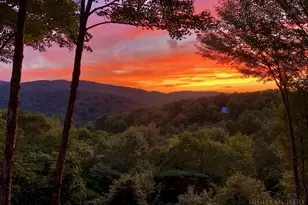 173 Rhododendron Dr, Beech Mountain, NC 28604 - Photo 8