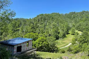 Tbd George's Gap Rd, Vilas, NC 28692 - Photo 18
