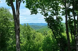 107 Woodridge Rd + 4 6 Acres, Beech Mountain, NC 28604 - Photo 38