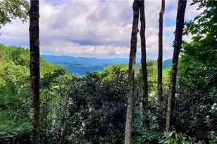 107 Woodridge Rd + 4 6 Acres, Beech Mountain, NC 28604 - Photo 28