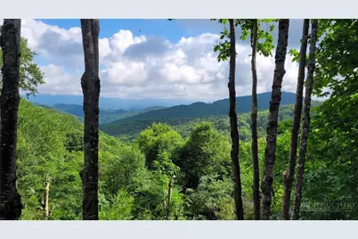 107 Woodridge Rd + 4.6 Acres, Beech Mountain, NC 28604 - Photo 2