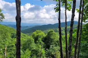 107 Woodridge Rd + 4 6 Acres, Beech Mountain, NC 28604 - Photo 2