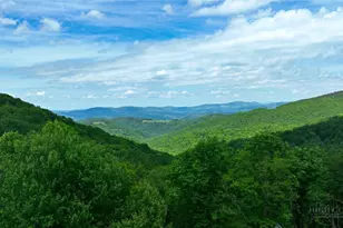107 Woodridge Rd + 4 6 Acres, Beech Mountain, NC 28604 - Photo 44