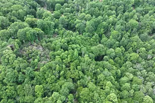 107 Woodridge Rd + 4 6 Acres, Beech Mountain, NC 28604 - Photo 46