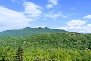 303 Sugar Top Dr, Sugar Mountain, NC 28604 - Photo 2