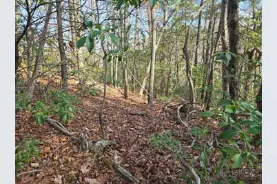 Lot 10 Heavenly Mountain Dr Drive, Boone, NC 28607 - Photo 2
