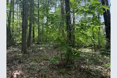 Lot 42 Linville River Lane, Linville, NC 28646 - Photo 10